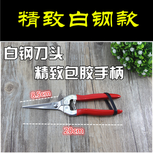 修枝剪刀葡萄摘水果粗枝剪果树修剪树枝园林工具花艺园艺家用神器