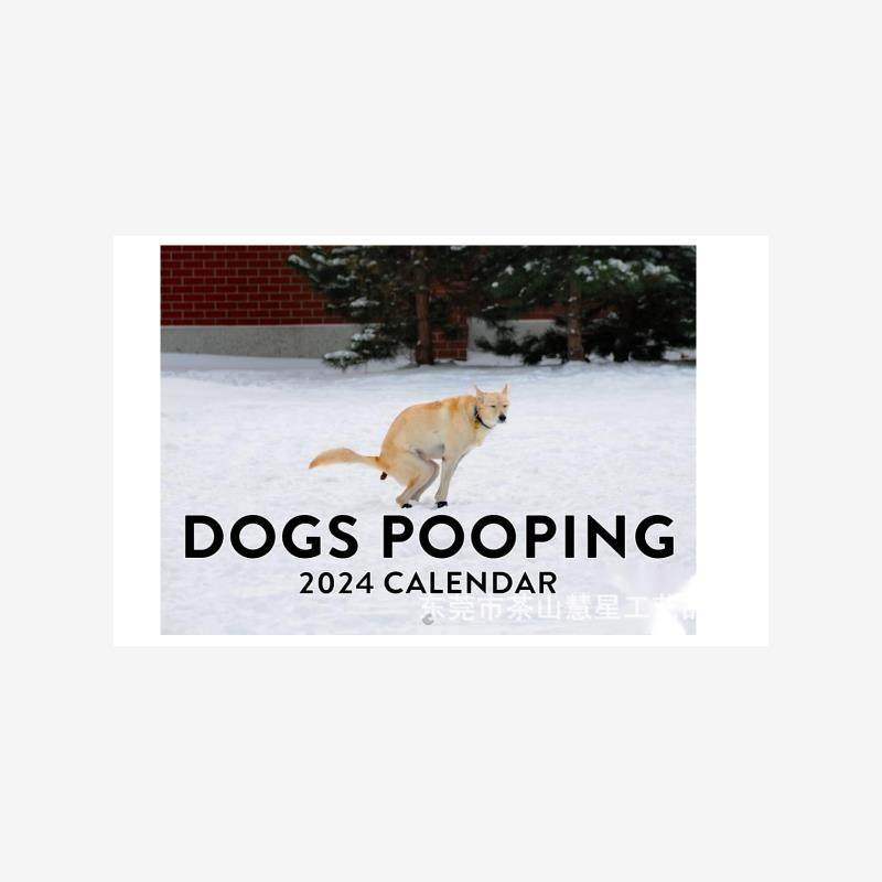 跨境新品2024年狗狗大便