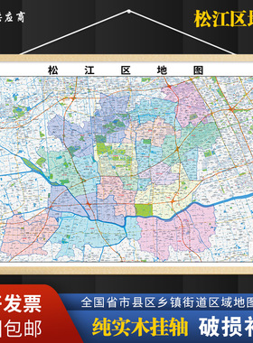 2026新版松江区挂图墙面装饰画客厅沙发墙壁挂画世界中国挂画