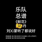 吉他谱鼓谱贝斯谱键盘谱定制 回春丹乐队 C20乐队总谱 鲜花