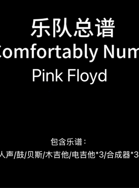 E45乐队总谱《Comfortably Numb》Pink Floyd乐队谱高清PDF附音频