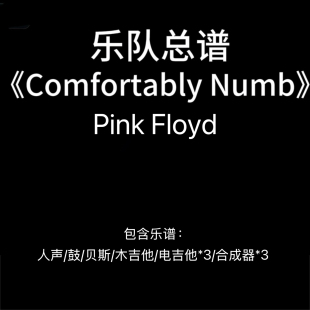 Floyd E45乐队总谱 Pink Numb 高清PDF谱附音频 Comfortably