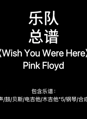 E47乐队总谱《WIsh You Were Here》Pink Floyd 吉他鼓贝斯键盘谱