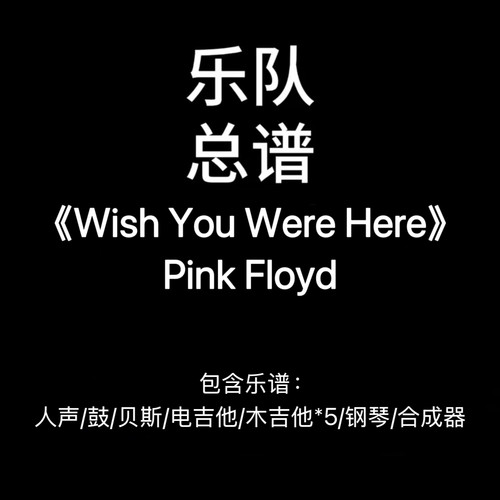 E47乐队总谱《WIsh You Were Here》Pink Floyd 吉他鼓贝斯键盘谱