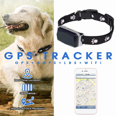 Rasador GPS inteligente para mascotas, Collar impermeable IP