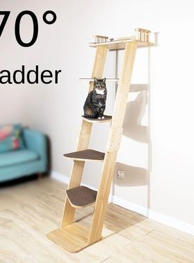 Grande Multi-Nível Jumping Platform Tower, Escada De Escala