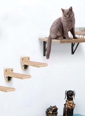 Montado De Madeira Prateleiras De Parede Do Gato, Escalada E
