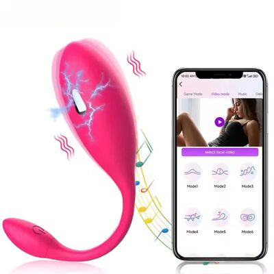 Wireless Remote Control Electric Shock Vibrating Egg Vaginal