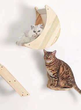 Parede Montada De Madeira Gato Escalada Frame, arranhando Po
