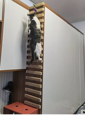 Brinquedos Atividade de parede Cat Wood Sisal Scratcher Clim