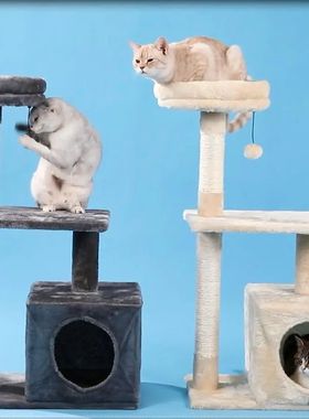 árvores para gatos, móveis para gatos, bolas para arranhar