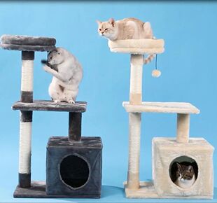 árvores para gatos, móveis para gatos, bolas para arranhar