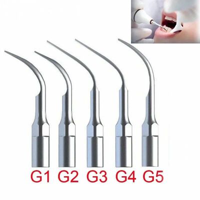 Escalador ultrasónico Dental, punta de escalado G1 G2 G3 G4