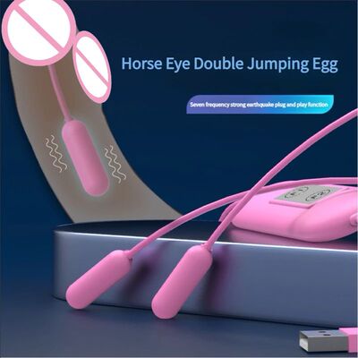 Charging Women's Urethral Ball Vibrator Vaginal Massage Clit