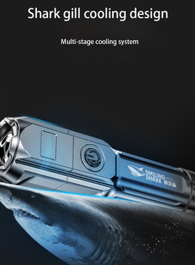 Interface padr?o Tocha elétrica, lanterna compacta, Multi-F