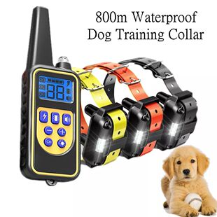 Collar de ennamiento para perros, dispositivo Digital de 800