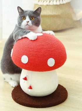 Gato arranhando bola brinquedo vermelho guarda-chuva cogumel