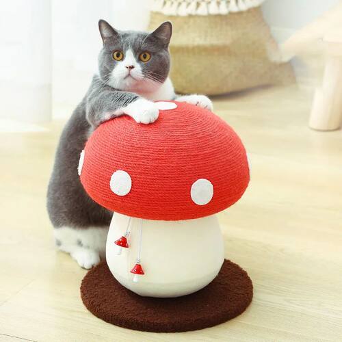 Gato arranhando bola brinquedo vermelho guarda-chuva cogumel
