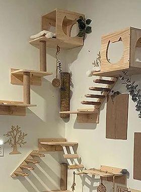 Montado Na Parede Gato Escalada Escada De árvore Quadro, Pl