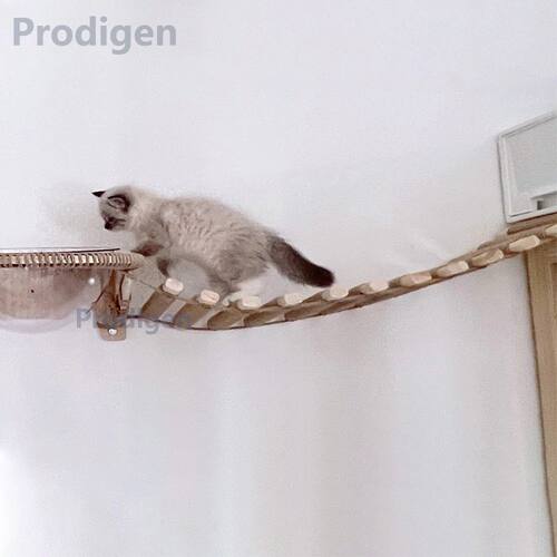 Wall Mounted Cat Escalada Escada, Scratcher, Ponte Suspensa,
