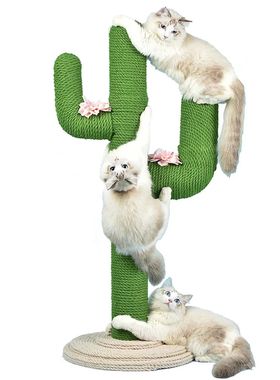 Cacto Escalada Frame para Gato, Escalada Post Através Da Co