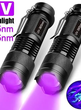 Linterna UV de mano para perro y mascota, minilinterna de lu