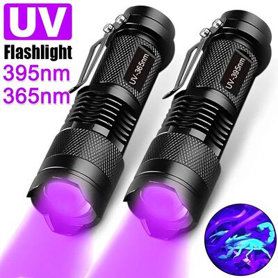 Linterna UV de mano para perro y mascota, minilinterna de lu