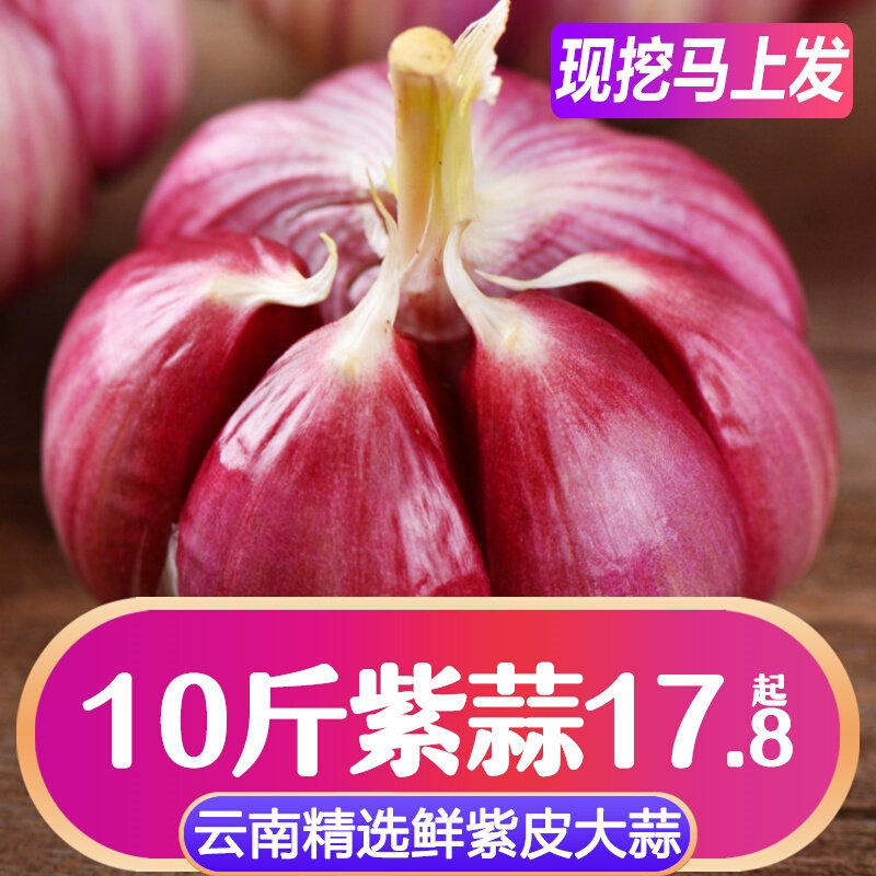 现挖云南紫皮大蒜头5斤装农y家新鲜祘蔬菜干蒜瓣红衣皮独算包邮10