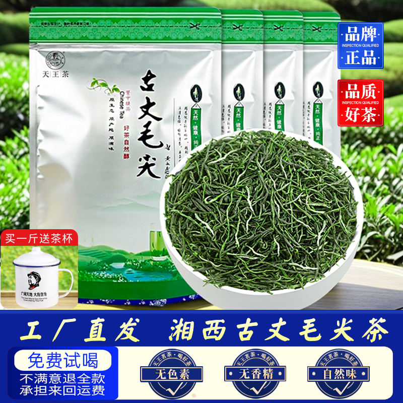 湘西古丈毛尖浓香型2025茶叶绿茶袋装正宗原产地高山茶明前嫩芽