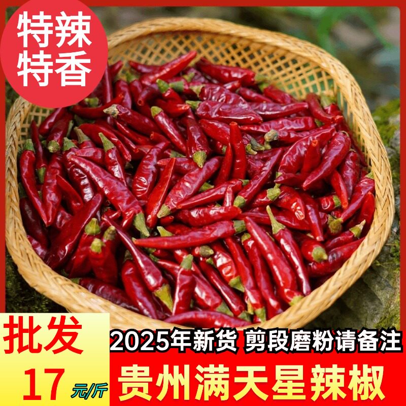2025贵州满天星干辣椒特辣小米辣
