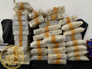 輕毛中毛重毛沒毛都有245 直播間專拍鏈接拍前聯系客服