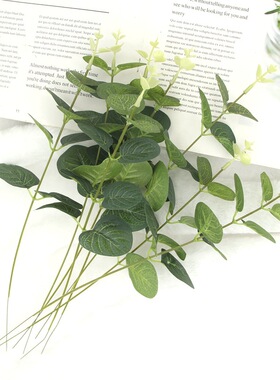 尤加利婚庆插花配材装饰叶子假草