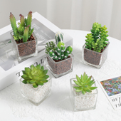 仿真多肉植物盆景栽植绒迷你人造假多肉配件绿植DIY家居装 饰摆件