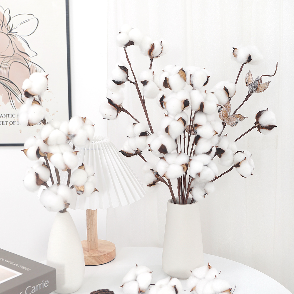 插花装饰拍照道具diy天然木棉花
