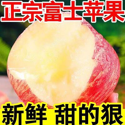 好吃实惠批发价陕西红富士苹果