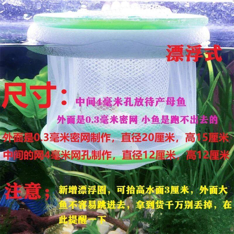 漂浮孔雀鱼凤尾斗鱼孵化器隔离盒网繁殖孵化网密网小鱼隔离网鱼缸 折百惠
