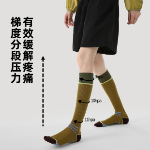 文艺复兴压力运动小腿袜子女专业跑步健身肌能压缩袜骑行羽毛球