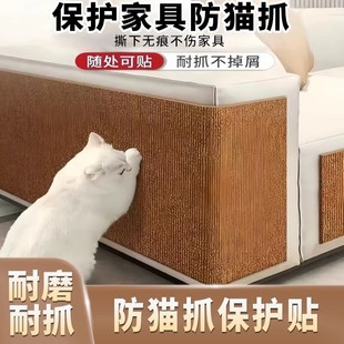 Anti cat scratch protection sofa furniture防猫抓保护沙发家具