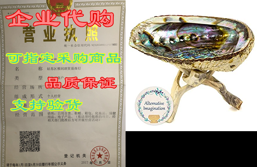 alternative imagination hand selected premium abalone she