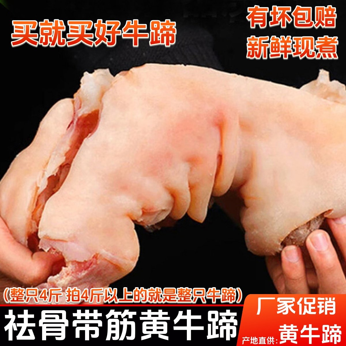 牛蹄 祛骨牛蹄新鲜整只黄牛蹄子整只带筋牛脚商用家用卤菜熟牛蹄