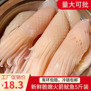 火箭水发鱿鱼重庆火锅食材配菜新鲜鱿鱼鲜活冷冻海鲜深海打捞烧烤