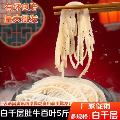 白千层肚牛肚毛肚5斤装火锅食材