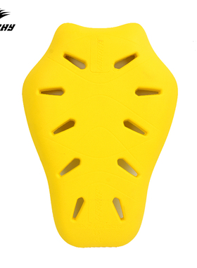 LYSCHY 雷翅摩托车骑行服护背CE2级护具慢回弹加厚防摔骑士装备