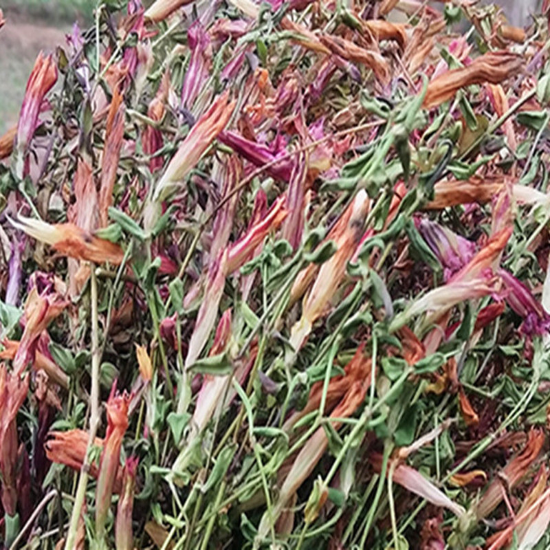贵州特产野生红花龙胆草500g包邮 中草药材龙胆花小青鱼胆星秀花