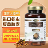 加拿大原装 德睿生冬虫夏草胶囊90粒 瓶虫草菌丝体滋补肺肾 进口