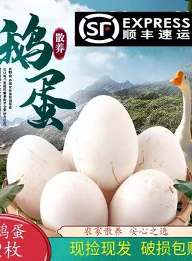 140-160克12枚鹅蛋新鲜农家散养孕妇纯去胎毒土鹅蛋大超大个包邮