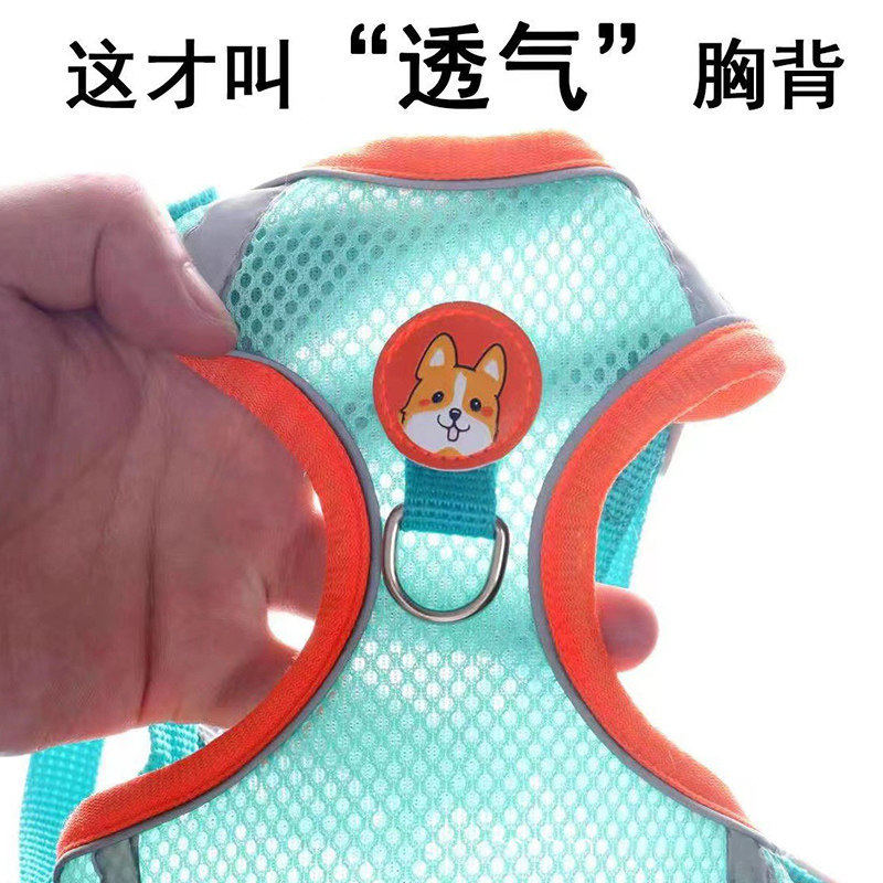 背心式狗狗牵引绳小型犬