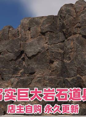 UE4UE5写实岩石头素材包Realistic Looking Cliff and Rock Pack