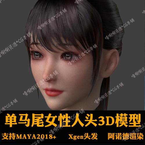 Maya单马尾女性人头3D模型Xgen头发阿诺德渲染贴图毛发源文件工程
