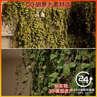 UE5.4虚幻5植物藤蔓灌木丛爬山虎青苔蕨类叶子树叶植被场景3D模型